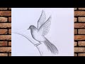 رسم سهل كيفية رسم عصفور سهل خطوة بخطوة للمبتدئين رسم بالرصاص 