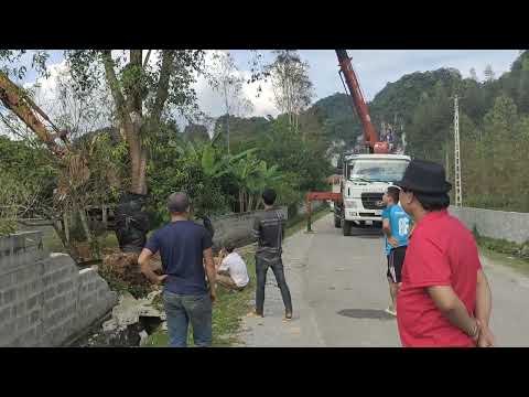Video Túc vanh có 220 mà xe cẩu 7 tấn gặp nhiều khó khăn... - youtube