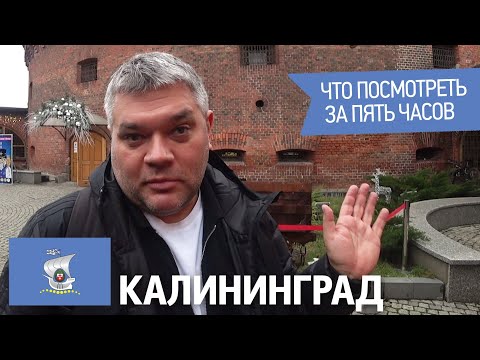 Video: Mikä On Ilmasto Kaliningrad