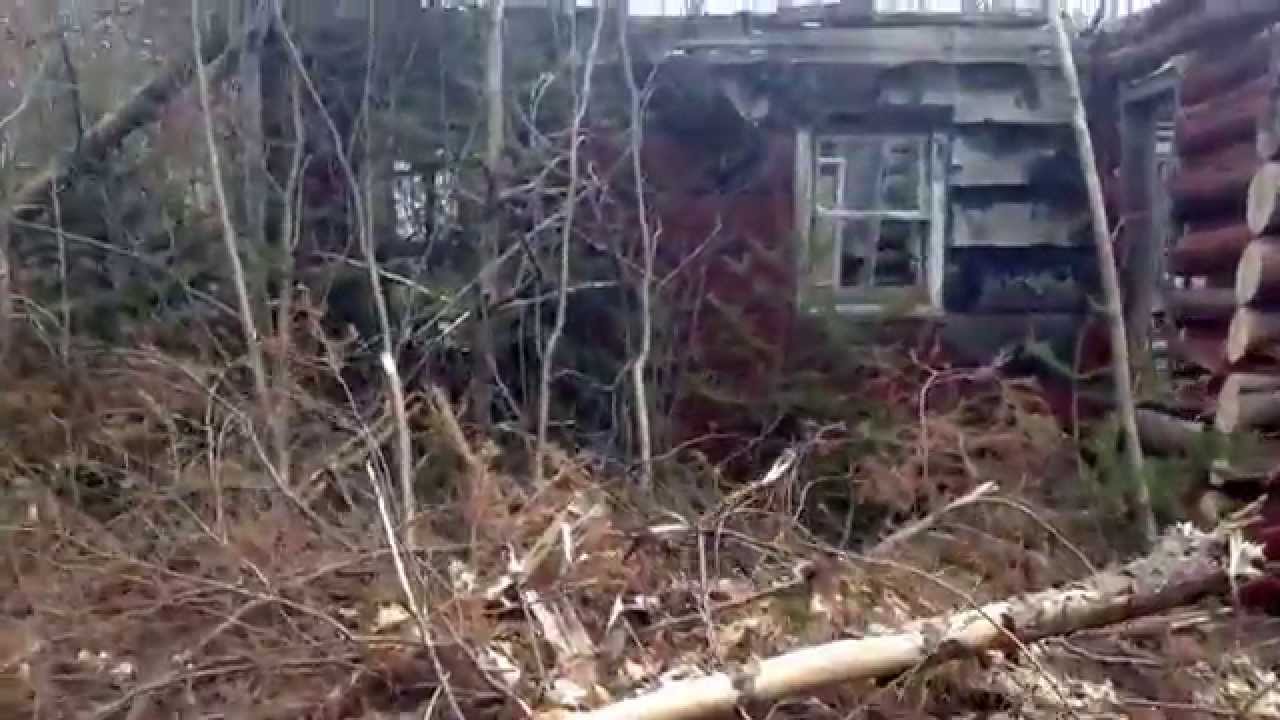 Abandoned log cabin along country rd near Mio in Oscoda county