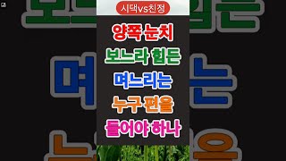 [시댁vs친정] 양쪽 눈치 보느라 힘든 며느리는 누구 편을 들어야 하나! 반전 사연