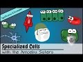 Specialized Cells and Their Unique Functions in Plants and Animals
