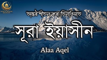 সূরা ইয়াসিন অত্যন্ত দরদী কন্ঠে তিলাওয়াত। سوره يس l Surah Yasin | Holy Book Quran Alaa Aqel