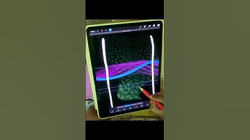 🐬 Dolphin Animation on iPad #animation #procreate