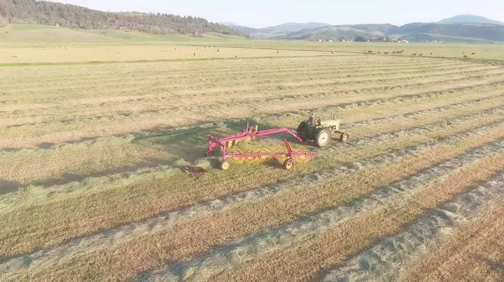 Raking Alfalfa with the John Deere 730 Diesel