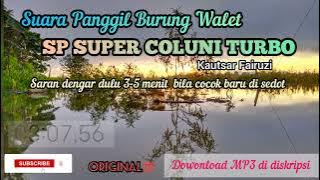 Suara panggil walet Sp Super coluni turbo
