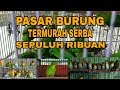 Pasar Burung Murah Serba Sepuluh Ribuan