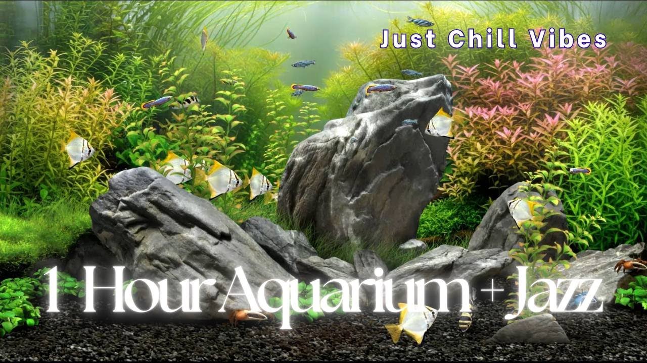 Juazz Fish 1 Hour Jazz Aquarium 🎷 | Chill Fish Tank + Smooth Jazz for Relaxing ...