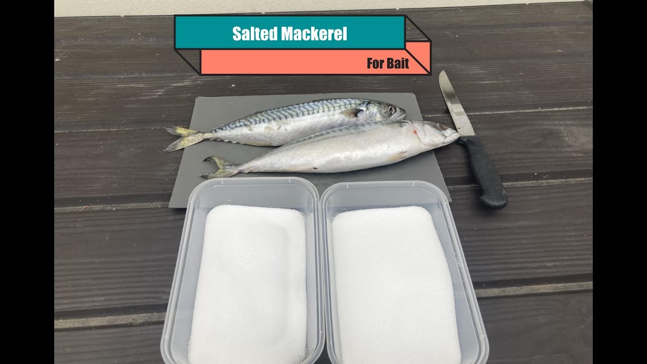 Salted mackerel YouTube