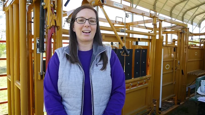 Beef Quality Assurance Tips: The Bud Box