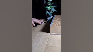 360 Shove it - Fakie back #fingerboard #fingerboarding #techdeck