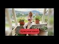 NK - Красное вино (cover Марина Потийко)