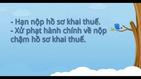 Nộp chậm tờ khai 5 tháng phạt bao nhiêu tiền năm 2024