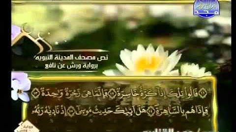 من سوره النبا الى سوره عبس عمر القزابري