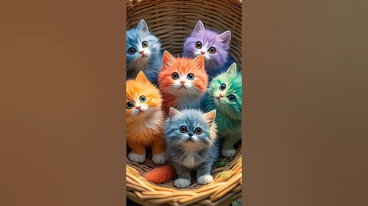 Video 8221861: cats cute kittens compilation, cat kitten funny compilation, hilarious cat dog compilation, cats compilation cute animals, laugh cat