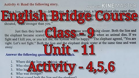 English Bridge Course Class - 9 | Unit - 11 | Activity - 4,5,6