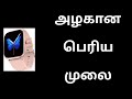 Ninja call pro max smartwatch features  speification  tamil kathaikal  mrkathaikal10