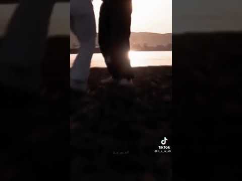 الي فات مات