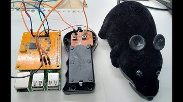Control robot by mind via RaspberryPi and PiEEG (robot toy)