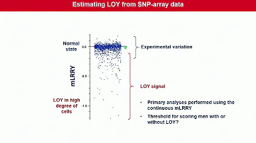 What is the mosaic loss of chromosome Y