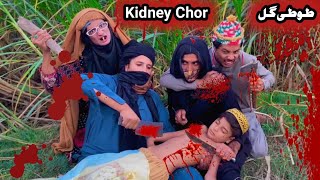 Kidney Chor Ao Tuti Gull Pashto New Funny Video 2023 by Bebe Vines Plus