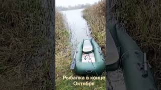 🏕️😂🐬БЕЛАРУСЬ. Рыбалка в Октябре)) #браславщина #беларусь#Особенности национальной рыбалки в холода