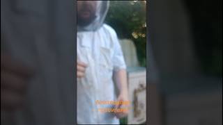 #апитерапия #пчелы #пчеловодство