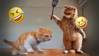 ❤ So Funny! Funniest Cats and Dogs 2024  Best Funny Animals 2024 # 24