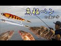 【根魚爆釣！】魚極ペンの使い方！