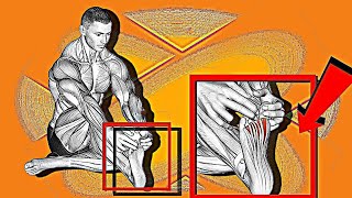 ➤ Do This 3-min Effective Stretching Exercises for Flexibility