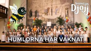 Humlan Djojj - Humlorna har vaknat (Körversion) - Adolf Fredriks Musikklasser