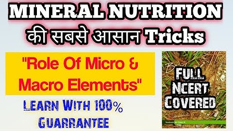 TRICKS:- Role Of Macro & Micro Elements🔥🔥| Mineral Nutrition Easiest Tricks (Fully Ncert Based) NEET