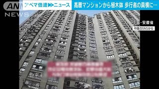あわや直撃　32階建て屋上から植木鉢落とし女逮捕(2021年10月25日)