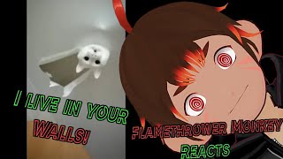 The Puurge! - Unusual Memes Compilation V226 & V228 Reaction! - Flamethrower Monkey [Vtuber]