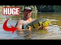 CATCHING GIANT PEACOCK BASS in a HIDDEN LAKE of the AMAZON  (tucunare açu) *BIGGEST I'VE CAUGHT*