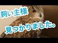 【保護しているフクロウに関して】ご協力ありがとうございました！