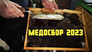 Медосбор - Качка / Главный день в жизни пчеловода за 12 минут. #медосбор #пчеловодство #пасека