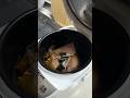 【炊飯器】高タンパク低脂質なイカメシ！#shorts #dietfood #ダイエットレシピ