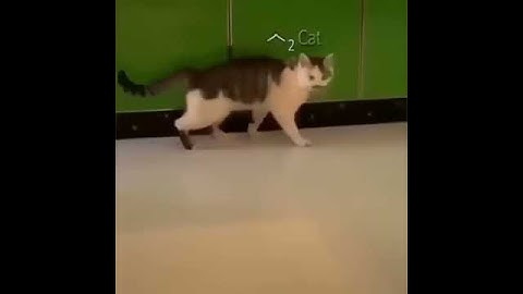 Connection interrupted