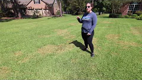 Treating Brown Patch Fungus