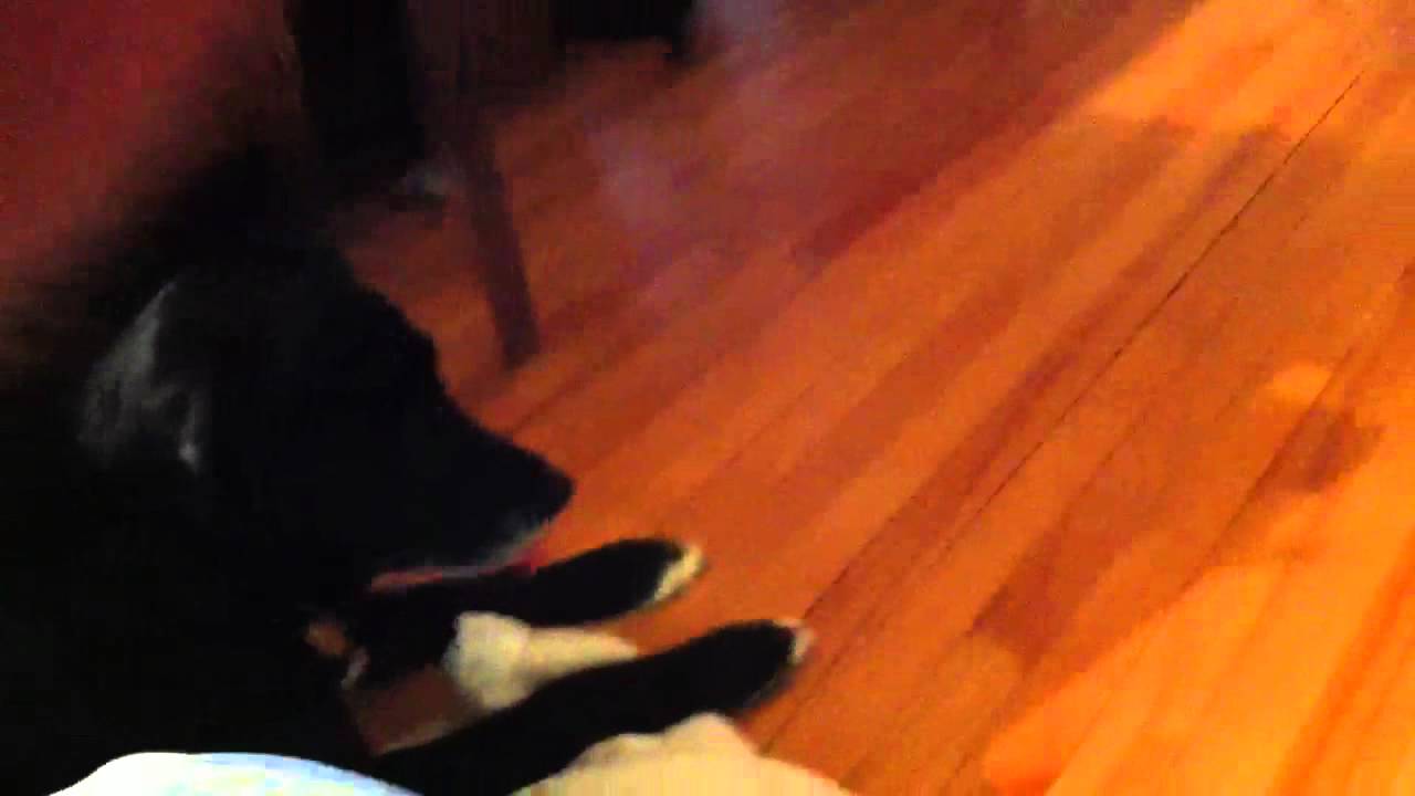 trinity n the spinning tops part 1 YouTube