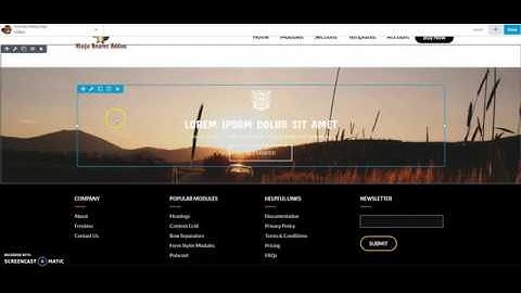 Ninja Beaver Addons  Info Box Module