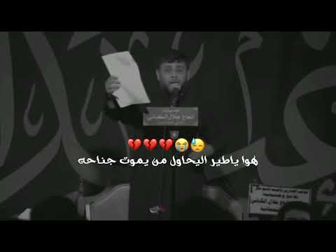 لامسحتو جروح كلبي