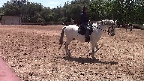 Solving Buddy Sour Issues, Part 2 (Trailer) Mike Hughes, Auburn Ca.