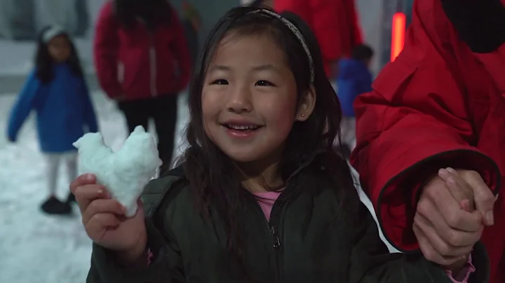 See it, Love it, Save it.