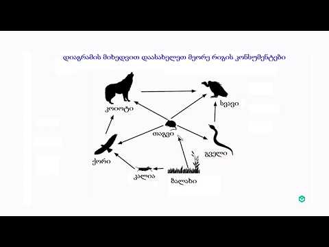 კვებით ქსელში ფუნქციების დადგენის მაგალითი