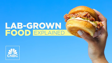 Lab-grown meat is on the rise — here