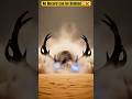 On the Day of Judgment, Every Record Will Be Opened 😱❌#trending #viral #shortsfeed