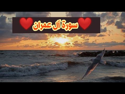 سورة آل عمران الشيخ حاتم فريد الواعر