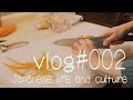 【Vlog】日本人女性フリーランスの田舎暮らし#002 正月とおせちの準備　主婦の料理　楽天購入品